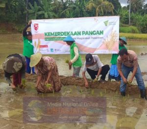 Dompet Dhuafa Siapkan Penanaman 1.000 Hektar Sawah Produktif