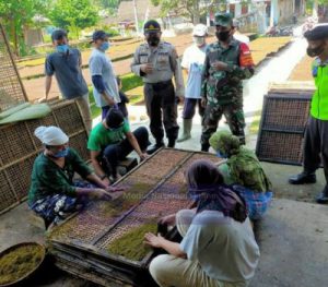 Babinsa Dan Bhabinkamtipmas Edukasi Warga Yang Panen Tembakau