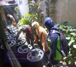 Demi Tingkatkan Ketahanan Pangan Babinsa Kemlayan dan Ibu-ibu LPMK Budikdamber