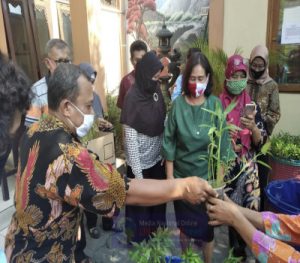 Babinsa Wujudkan Ketahanan Pangan di Tengah Pandemi Covid-19