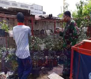 Serda Teguh Kusno Motivasi Warganya Untuk Budidaya Tanaman Sayur di Wilayah Binaan
