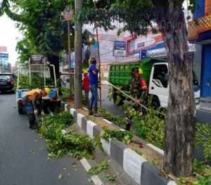 Peran Aktif Koptu Tito Dalam Membantu PLN Melaksanakan Perempelan Ranting dan Pohon