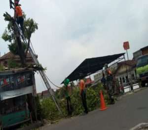 Wujud Kebersamaan, Serda Eko Bersama Warga Dan DLH Gotong Royong Memotong Pohon Besar di Pemukiman