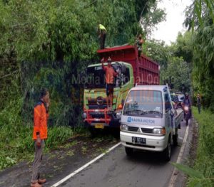 Bahu- Membahu, Anggota Koramil 04/Nguntoronadi Singkirkan Bambu Roboh Yang Menutup Akses Jalan