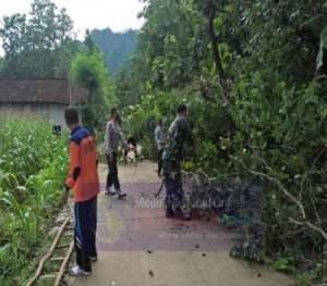 Antisipasi Pohon Tumbang, Babinsa Dan Bhabinkamtibmas Dawungan Bersama Warga Potong Ranting Pohon Di Pinggir Jalan