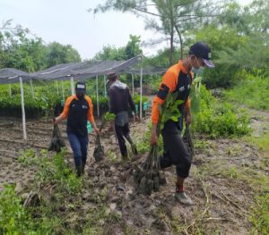 Hari Sejuta Pohon Sedunia, DDV Tanam Ribuan Pohon Dari Jawa Timur Hingga Sumatera Barat