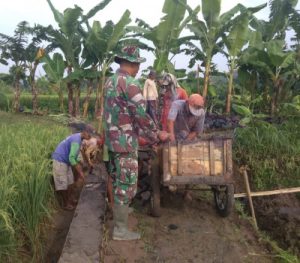 Babinsa Sumber Bantu Warga Membuat JUT