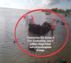 Proses Tindak Lanjut Terkait Kasus Dugaan Penggunaan Batu Karang Didesa Masakambing.