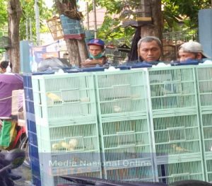 PASAR BURUNG KUPANG YANG MELEGENDA