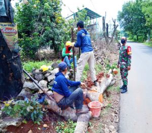 Antisipasi Pohon Tumbang Babinsa Guli Gerakan Warga