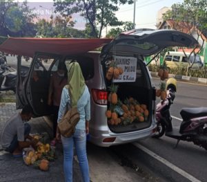 Sopir Taksi On line terpaksa berjualan Nanas Madu Di Pinggir Jalan