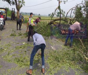 Gerak Cepat Polsek Benjeng Bersinergi Dengan Warga Membersihkan Pohon Tumbang