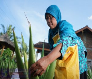 Sosok Gigih Sumarni, Motor Kebangkitan Para Ibu Untuk Berdaya  Di Tengah Pandemi Covid-19