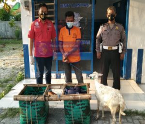 Pencuri Kambing Babak Belur Dihajar Massa, Beruntung Ada Polisi