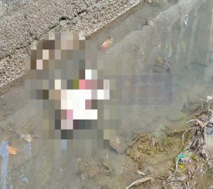 Bayi Baru Lahir, Ditemukan Meninggal di Saluran Irigasi Desa Lajer Amba