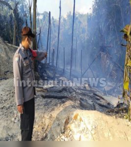 Dua Kandang Ayam Terbakar, Korban Telan Kerugian Ratusan Juta Rupiah