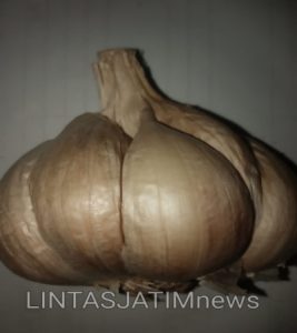 Manfaat Bawang Putih Sangat Penting bagi Pengobatan Tradisional