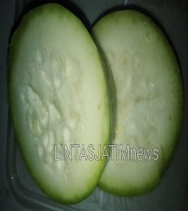 Manfaat Buah Labu bagi Tubuh