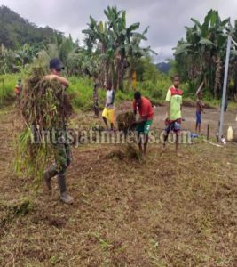 Jelang HUT RI, Satgas Yonif 403/WP Pangkas Padang Rumput Jadi Lapangan Sepak Bola di Perbatasan RI-PNG