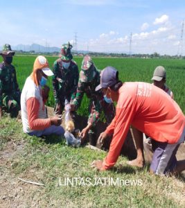 Santap Pisang Rebus Jalin Keakraban di Tengah Pelaksanaan Pra TMMD Reg 112 Di Desa Majasto