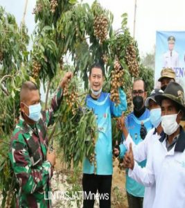 Ini Yang Dilakukan Bupati Lamongan. Jelajah Potensi Daerah, Dari Panen Garam Hingga Panen Buah