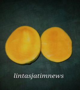 Manfaat buah mangga untuk meningkatkan daya tahan tubuh