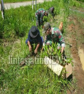 Satgas Yonif 131 Bersama Warga Tanam 100 Pohon Pinang di Kampung Skofro Lama