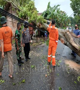 Pohon Mahoni Tumbang Timpa Rumah Warga Kalitengah Gombong, Satu Pengendar Motor Dilarikan ke RS