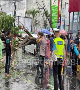 Polres Jember dan BPBD Jember evakusi mobil yg tertimpa pohon akibat hujan deras