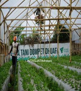 Berdayakan Petani Melalui Program Pemberdayaan Ekonomi Pada Pertanian Hortikultura, Prudential Syariah Beri Manfaat Lebih Melalui Teknik Green House di Desa Tani Dompet Dhuafa