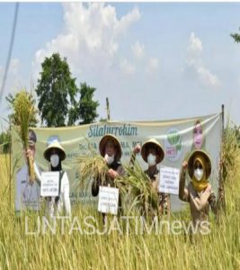 Lamongan Produsen Beras Terbesar di Jatim dan Nasional, Perkuat Ketahanan Pangan