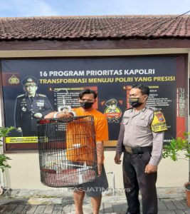 Ketagihan Curi Burung Tetangga, Polisi Tangkap Pria Pencuri Burung Murai Batu