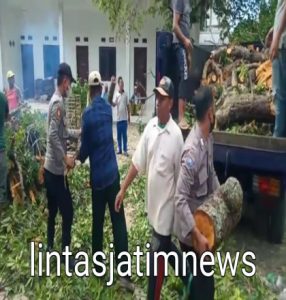 Sinergitas TNI-POLRI Dan Pemkab Sampang Bantu Bersihkan Pohon Tumbang Di Ponpes Nurul Alam Prajjan Camplong