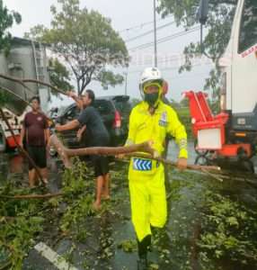 Gerak Cepat,Polres Gresik Bantu Evakuasi Sejumlah Pohon Tumbang Diterjang Angin Kencang