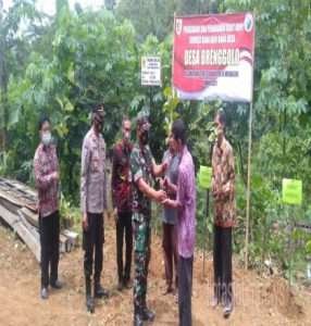 Ratusan Pohon Alpukat Dan Ribuan Pohon Kopi “ Robusta “ Ditanam, Ini Tujuannya