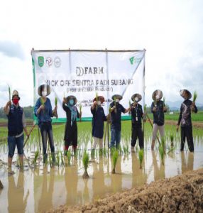 Kick Off DD Farm Sentra Padi, Bukti Kekuatan Zakat Produktif Bangkitkan Agrobisnis