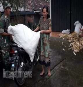 Sukseskan Swasembada Pangan, Babinsa Koramil 0801/10 Punung Lakukan Pendampingan Pertanian