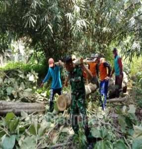 Jalin kebersamaan dengan Warganya, Babinsa Bantu Angkat Material Kayu