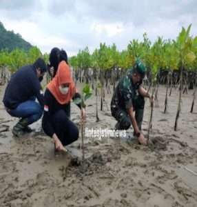 Jaga EKosistem Laut, Dandim 0801 Pacitan Hadiri Penanaman Mangrove Bersama Gubernur Jawa Timur
