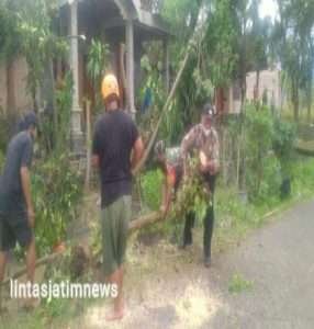 Anggota Koramil Sine Bersama Masyarakat Bersihkan Pohon Tumbang Akibat Angin Kencang