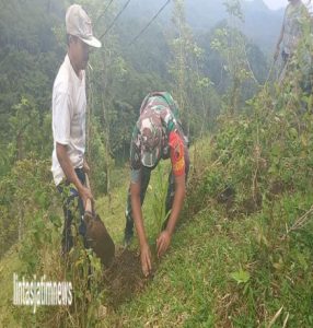 Peduli Lingkungan, Babinsa Koramil 0801/02 Kebon Agung Bersama RAPI Lakukan Penanaman Pohon