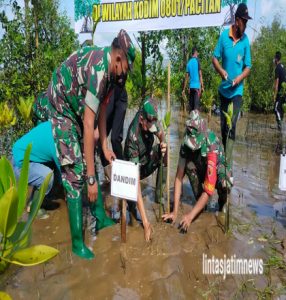 TNI Peduli, Penanaman Mangrove Serentak Kodam V/Brawijaya Diwilayah Kodim 0801 Pacitan