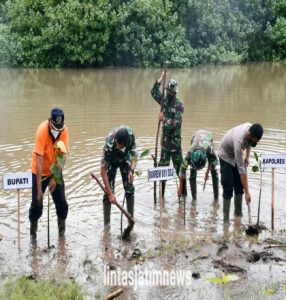 Peduli Lingkungan, Danrem 081/DSJ Tanam 1.000 Pohon Mangrove di Tulungagung