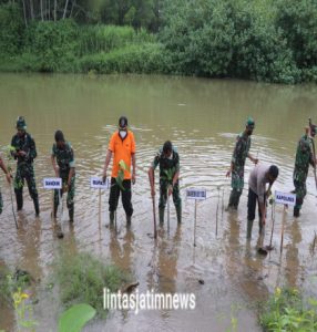 Cegah Abrasi, Prajurit TNI Bersama Masyarakat Tanam Mangrove di Pesisir Pantai Selatan Tulungagung