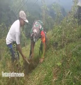 Kebersamaan Babinsa Koramil 0801/06 Bandar Bersama Warga Lakukan Penghijauan