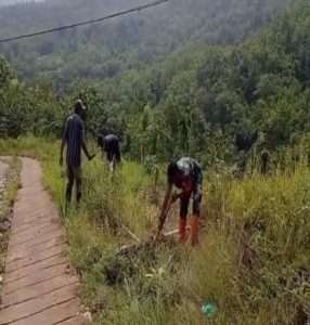 Bersama Warga Binaan Babinsa Koramil 0801/03 Arjosari Melalsanakan Penghinjauan