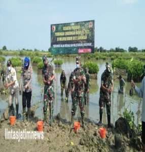 Peduli Lingkungan Hidup, Kodim 0812 Lamongan Tanam 1000 Mangrove