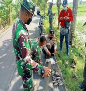 Wujud Peduli Wilayah Danramil 15 Gemolong Bersama Petani Laksanakan Gropyokan Tikus