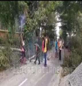 Bersama Warga, Anggota Koramil Ngrambe Gotong-royong Tebangi Pohon Rawan Tumbang