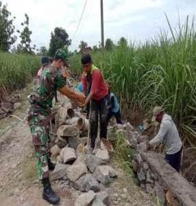Dengan Semangat Gotong Royong Babinsa Bangunrejo Bersama Warga Benahi Talut dan irigasi